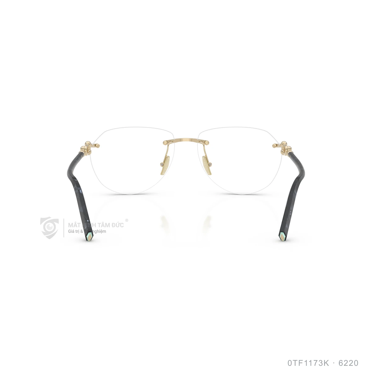 Gọng kính Tiffany & Co. 0TF1173K - Ảnh 5