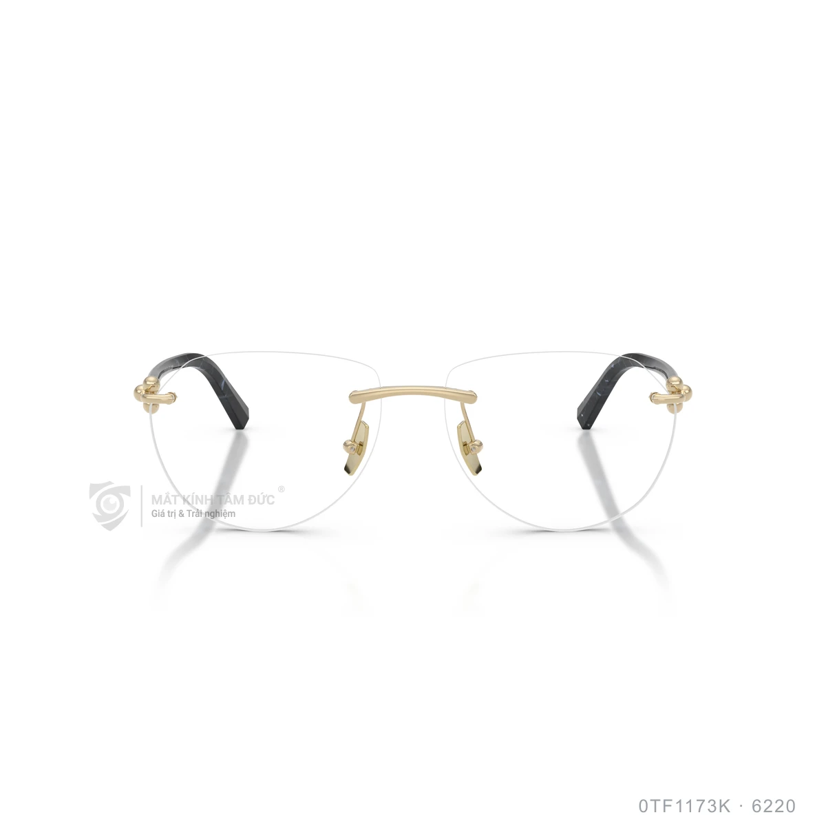 Gọng kính Tiffany & Co. 0TF1173K