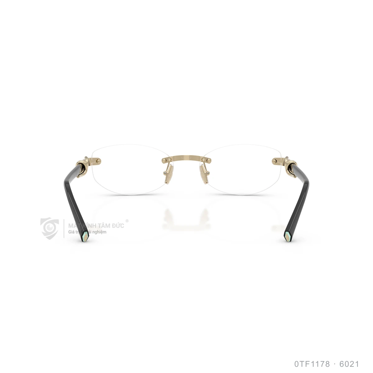 Gọng kính Tiffany & Co. 0TF1178 - Ảnh 10