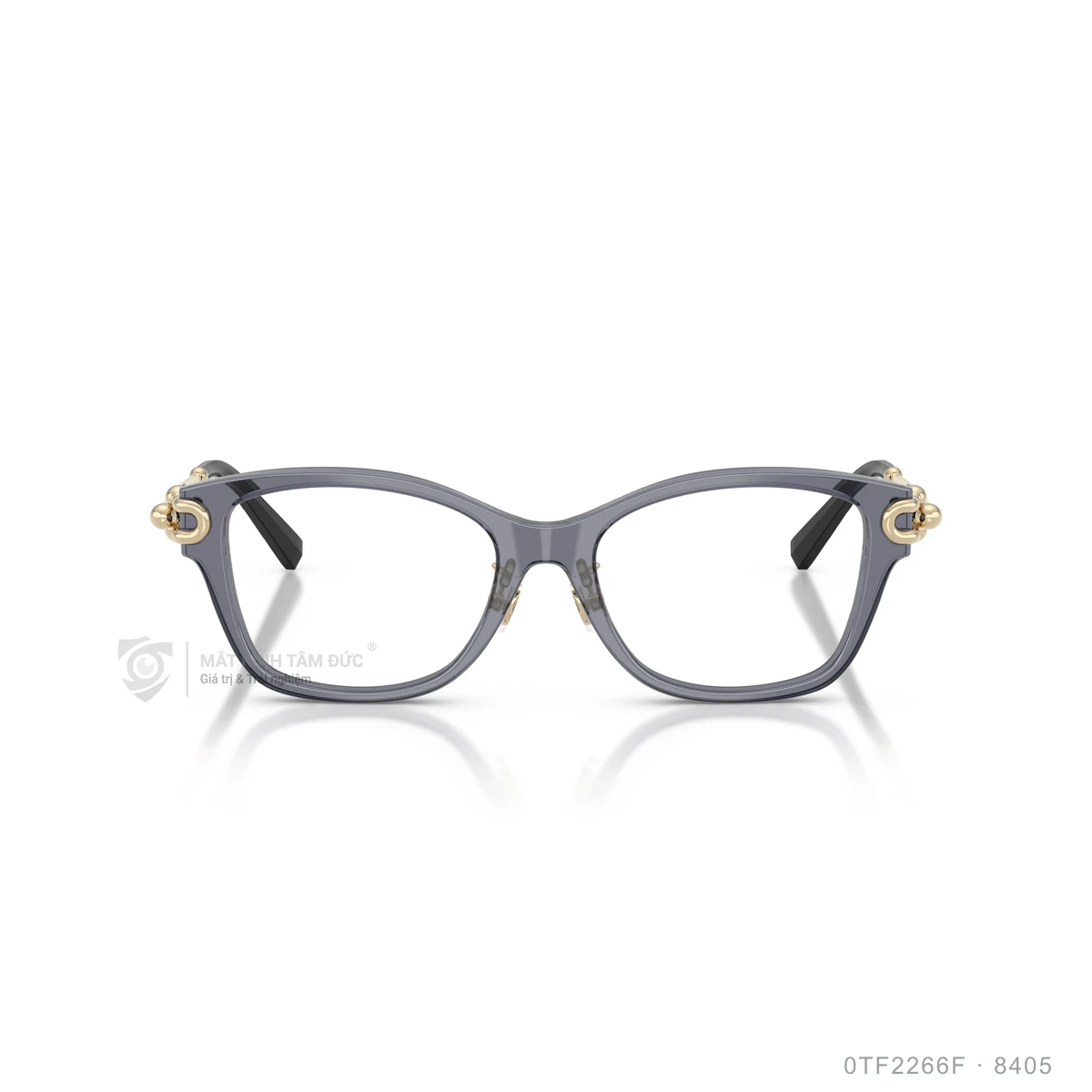 Gọng kính Tiffany & Co. 0TF2266F - Ảnh 6