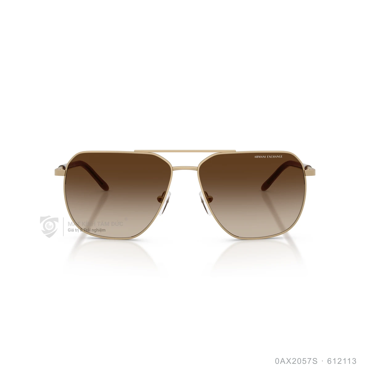 Kính mát Armani Exchange 0AX2057S - Ảnh 16