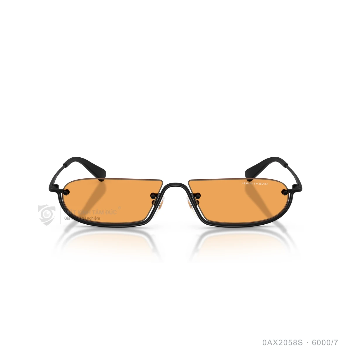 Kính mát Armani Exchange 0AX2058S - Ảnh 1