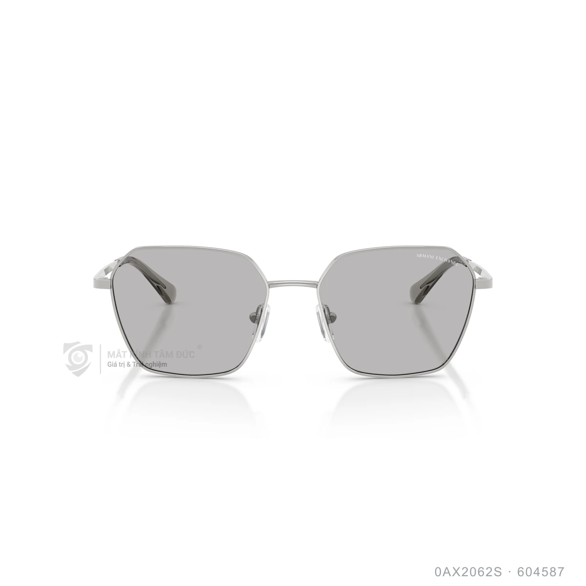 Kính mát Armani Exchange 0AX2062S - Ảnh 1