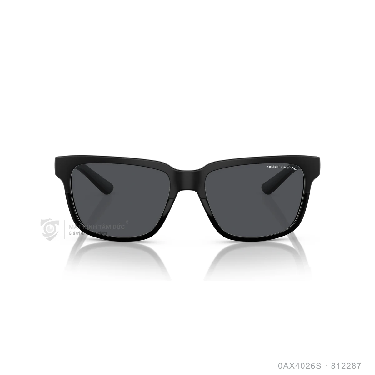 Kính mát Armani Exchange 0AX4026S - Ảnh 6