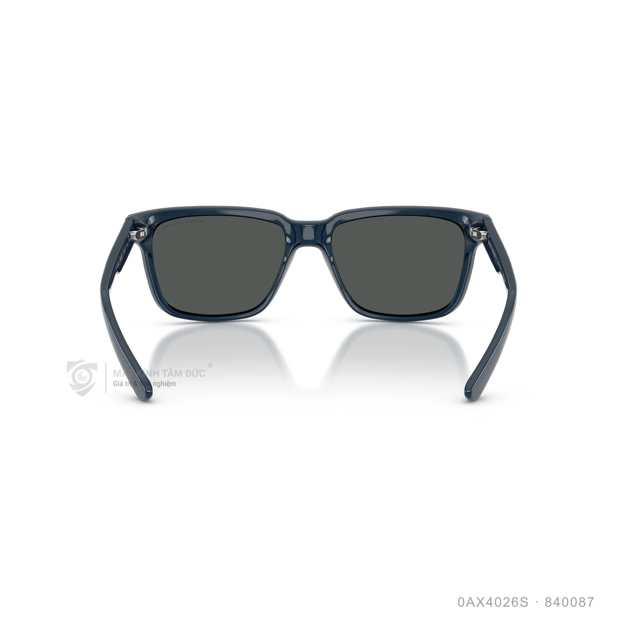 Kính mát Armani Exchange 0AX4026S - Ảnh 15
