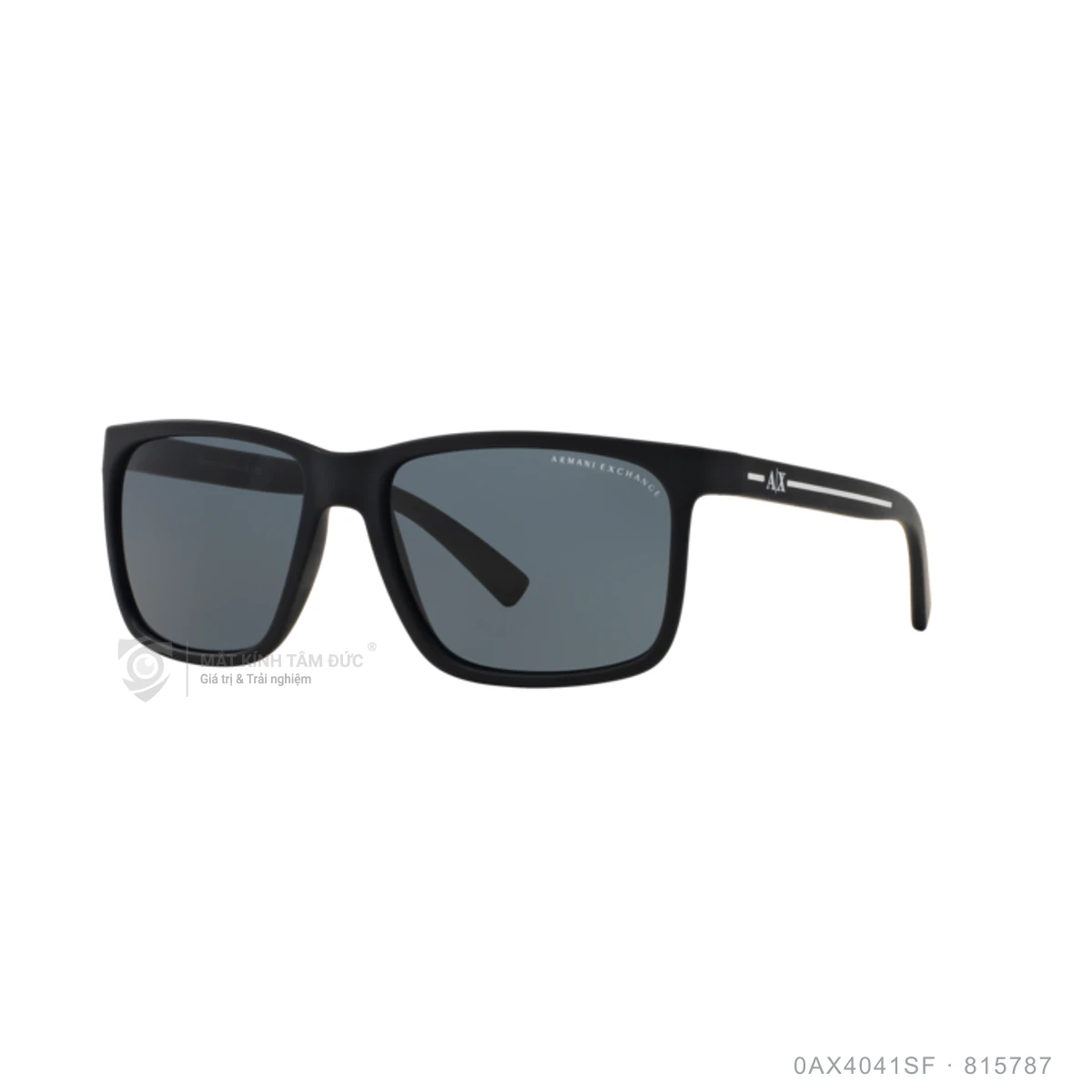 Kính mát Armani Exchange 0AX4041SF - Ảnh 1