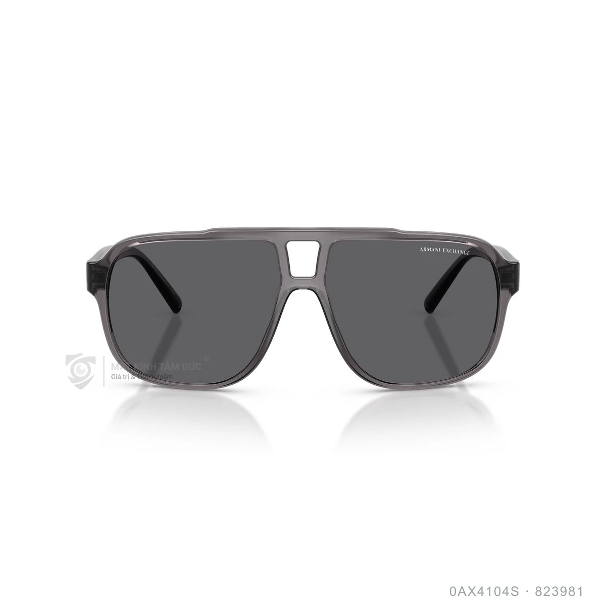 Kính mát Armani Exchange 0AX4104S - Ảnh 6