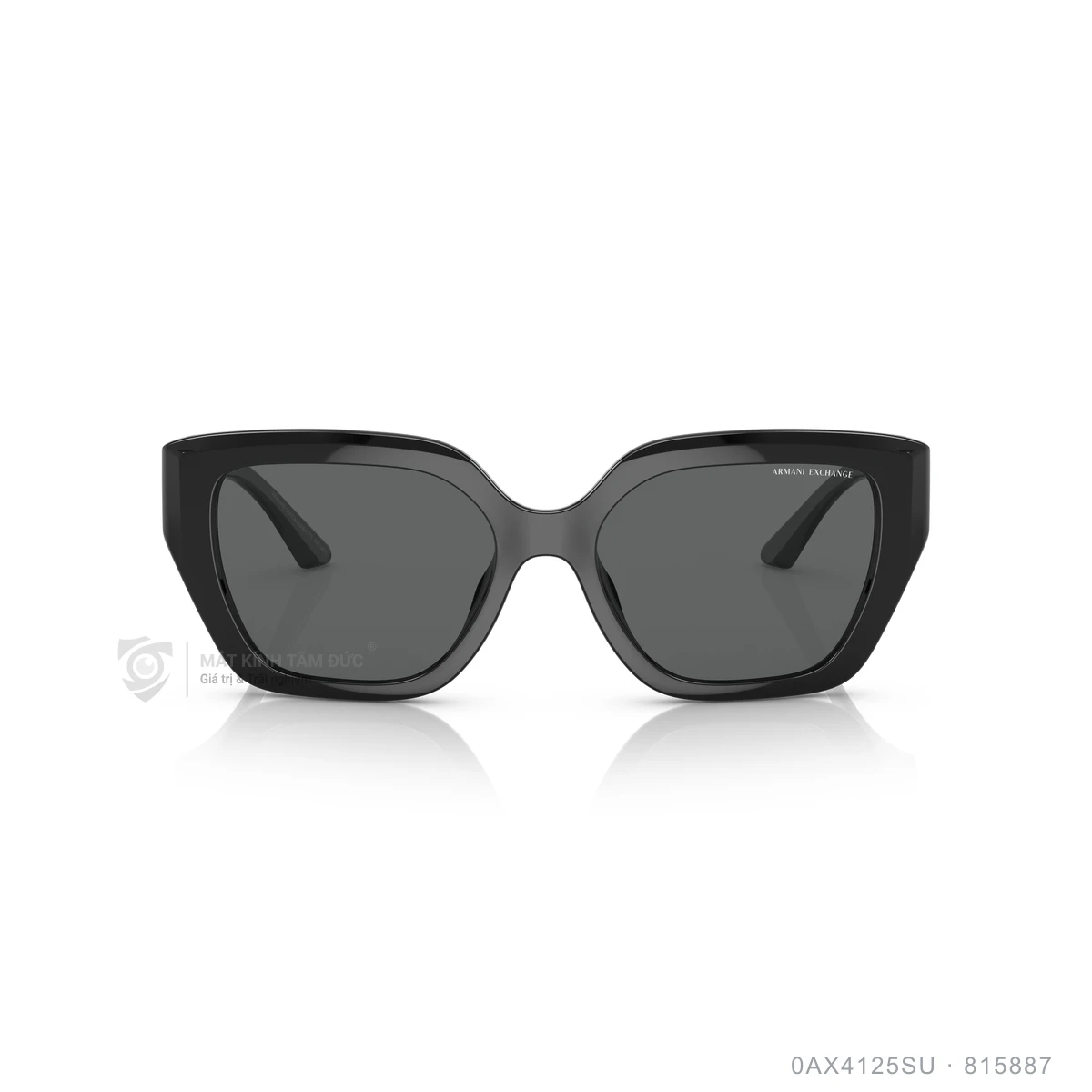 Kính mát Armani Exchange 0AX4125SU - Ảnh 1