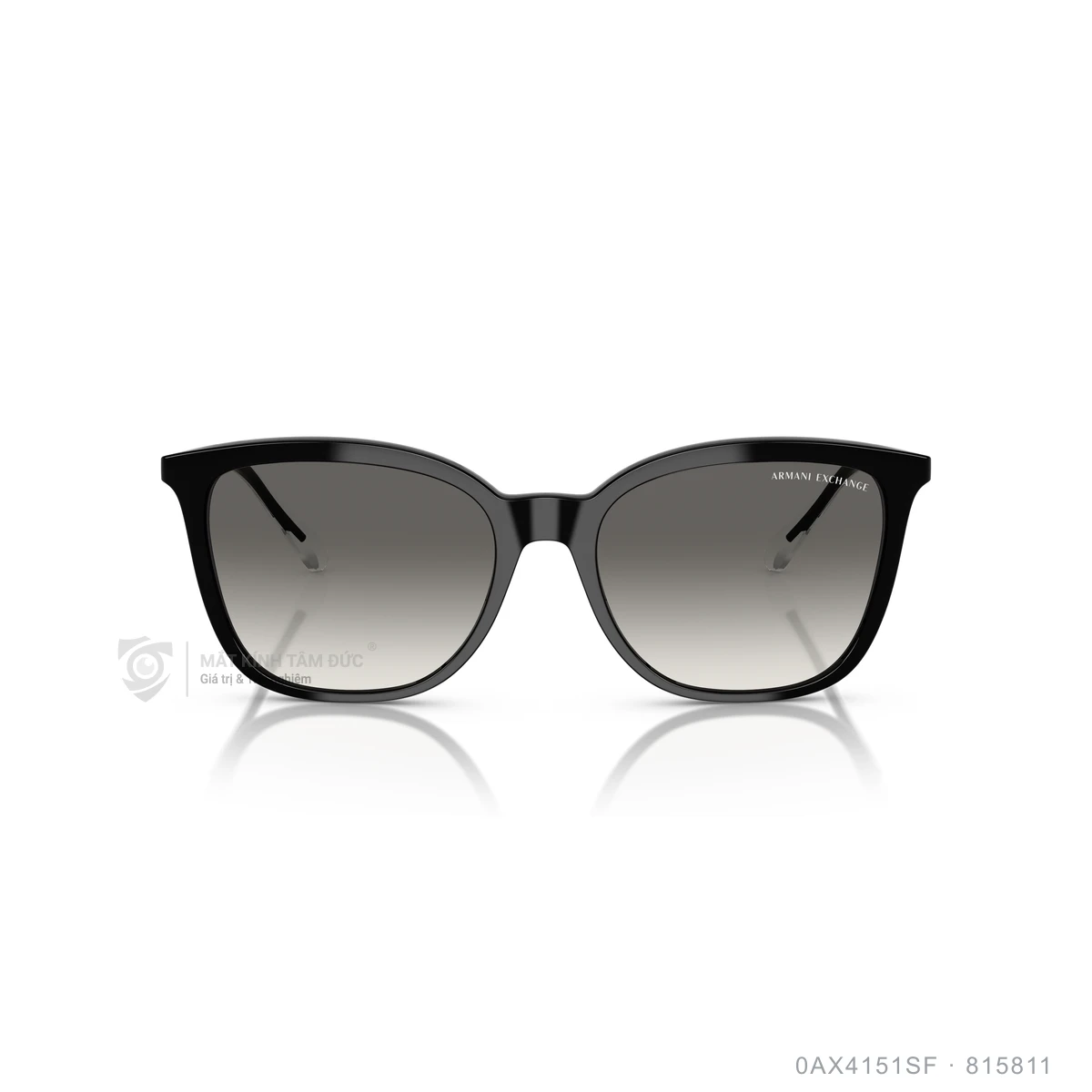 Kính mát Armani Exchange 0AX4151SF - Ảnh 1