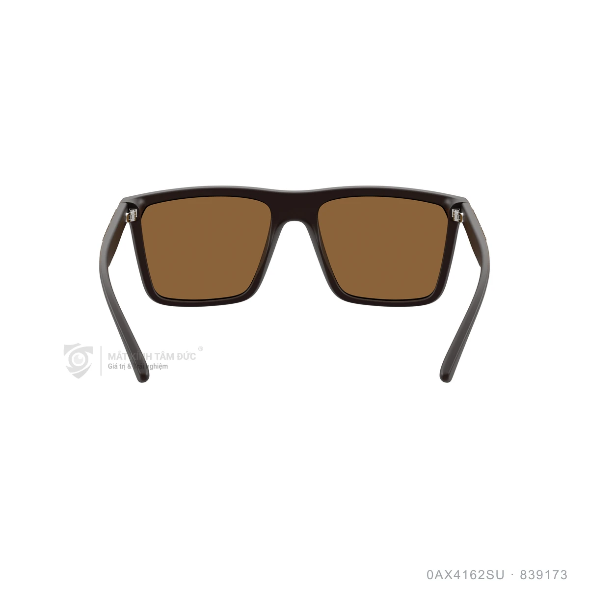 Kính mát Armani Exchange 0AX4162SU - Ảnh 10