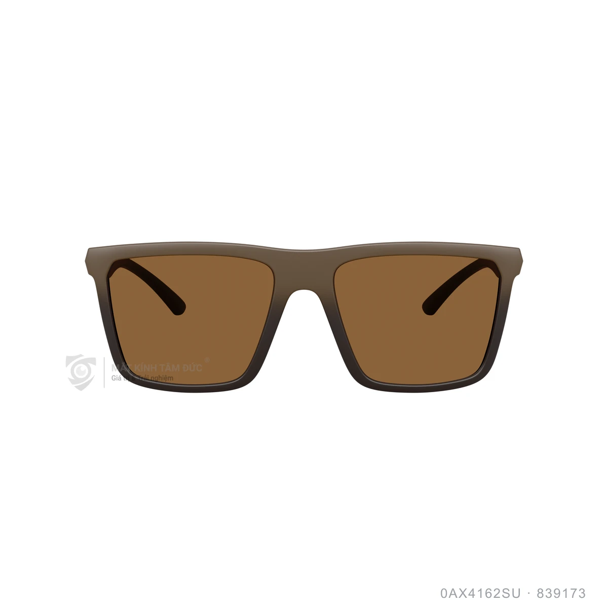 Kính mát Armani Exchange 0AX4162SU - Ảnh 6