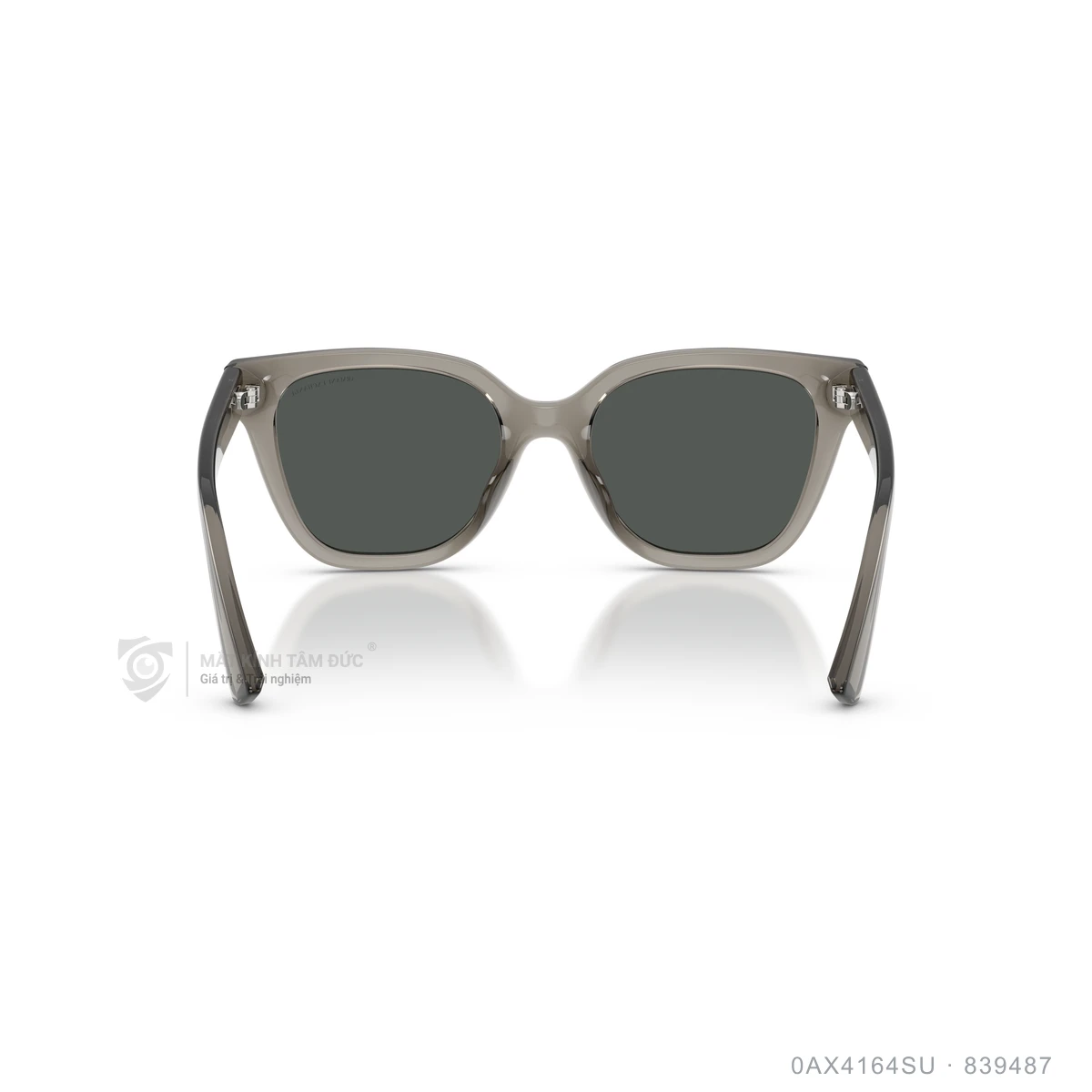 Kính mát Armani Exchange 0AX4164SU - Ảnh 10