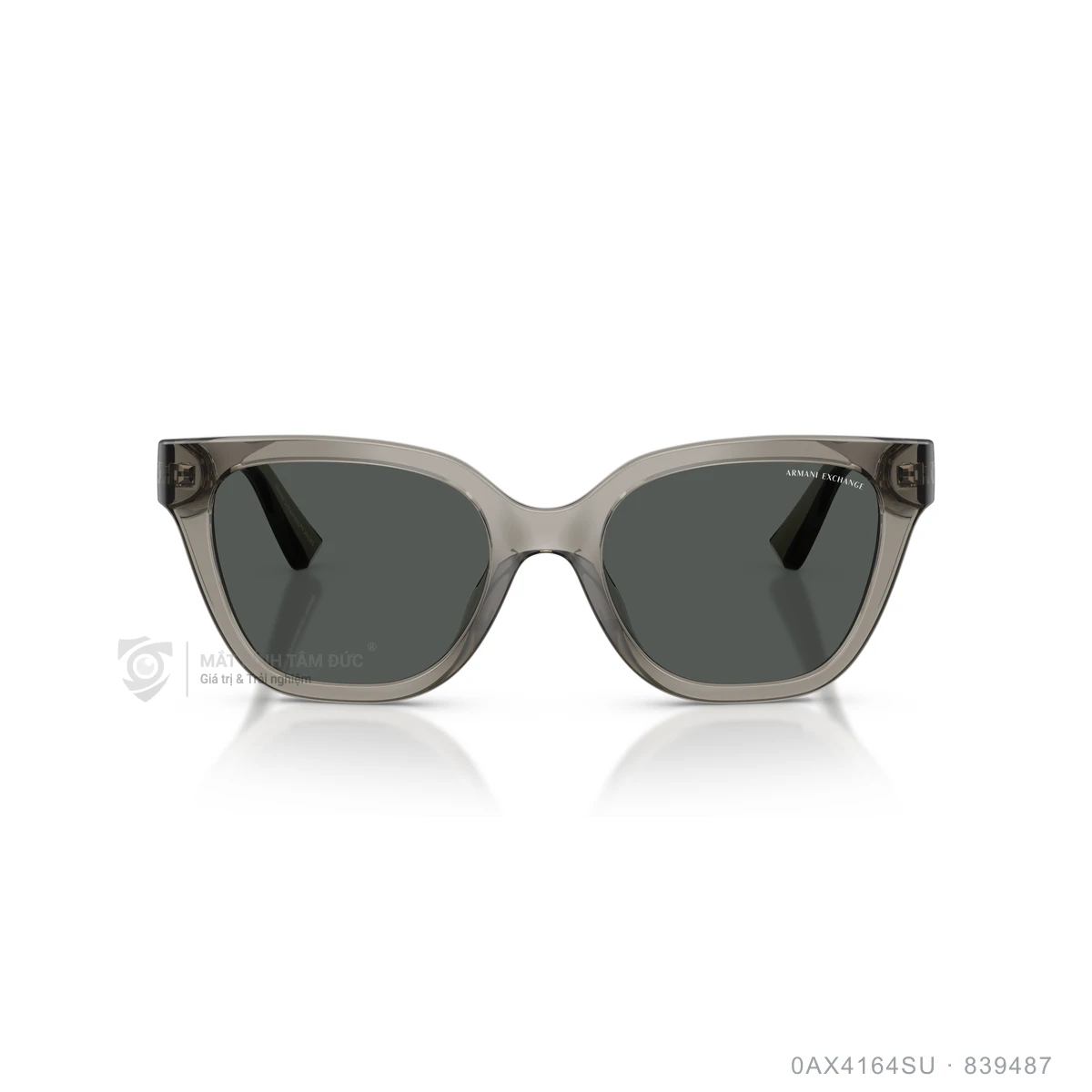 Kính mát Armani Exchange 0AX4164SU - Ảnh 6