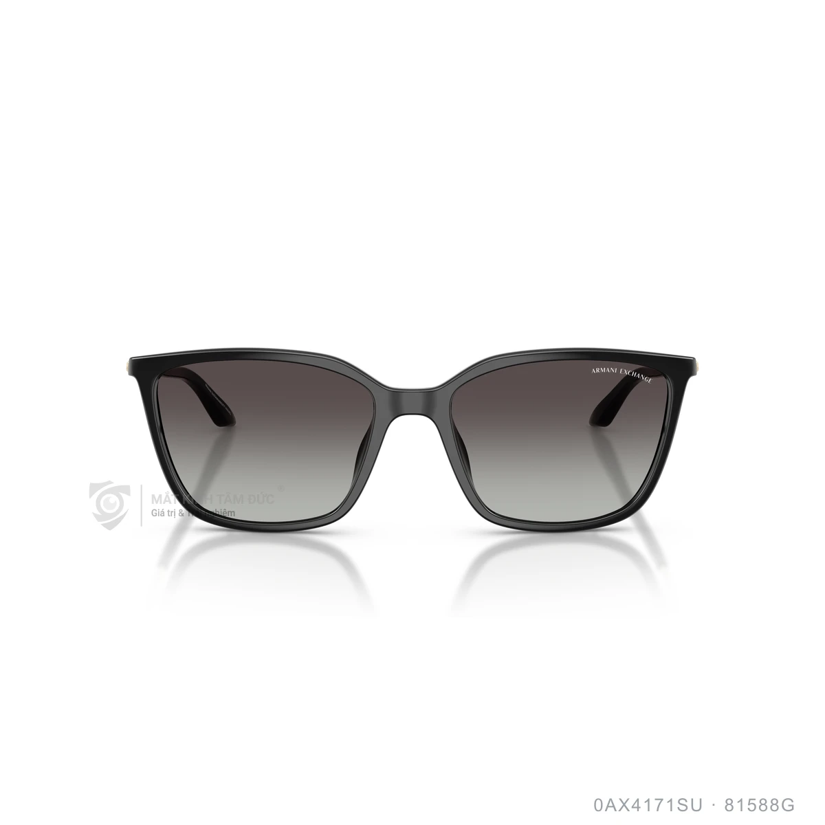 Kính mát Armani Exchange 0AX4171SU - Ảnh 1