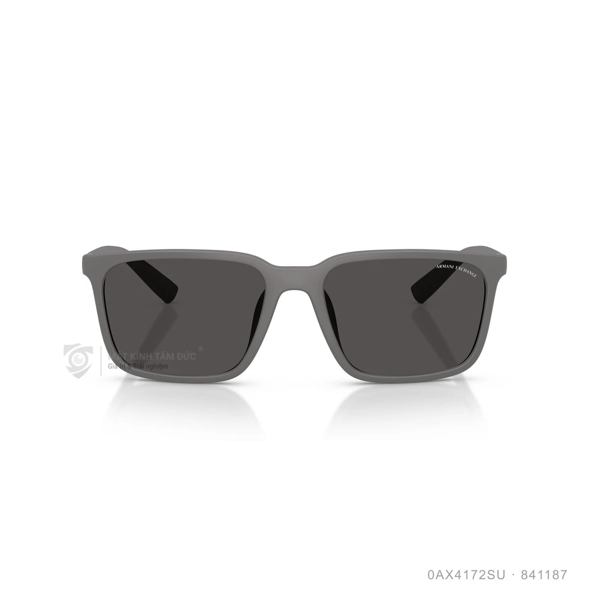 Kính mát Armani Exchange 0AX4172SU - Ảnh 11