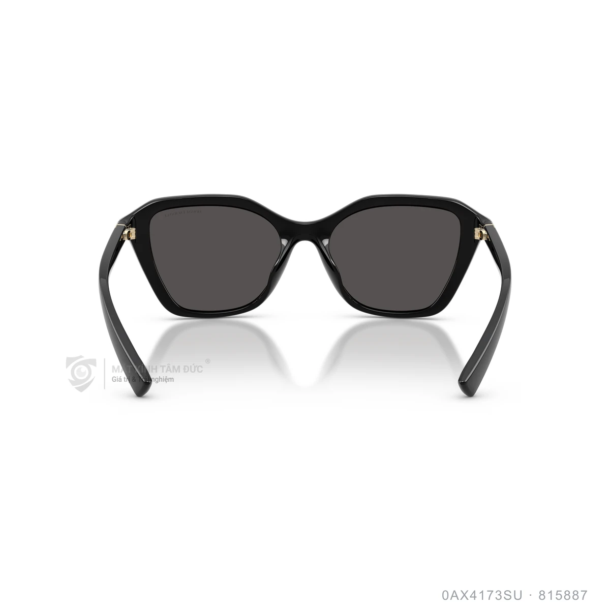 Kính mát Armani Exchange 0AX4173SU - Ảnh 5