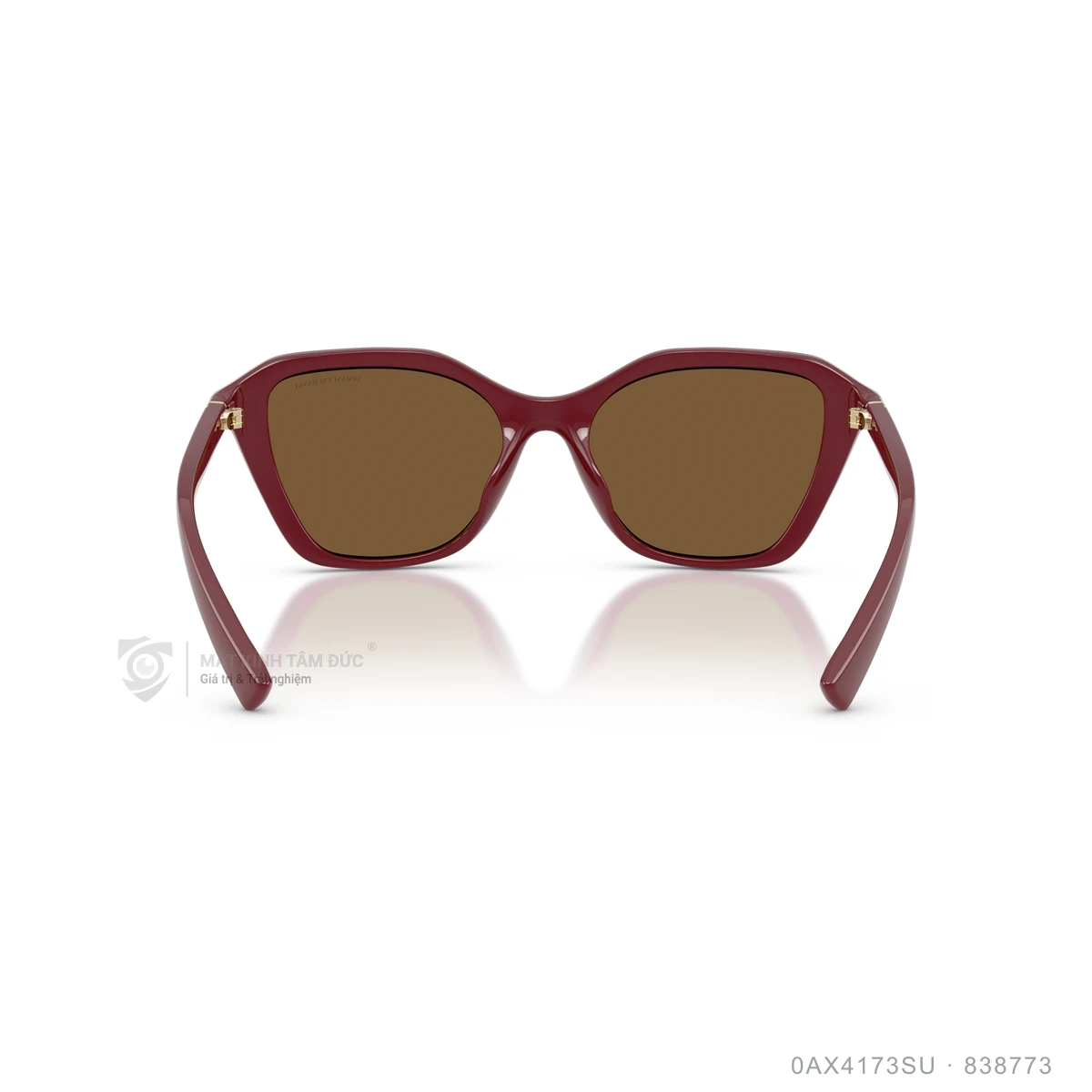 Kính mát Armani Exchange 0AX4173SU - Ảnh 10