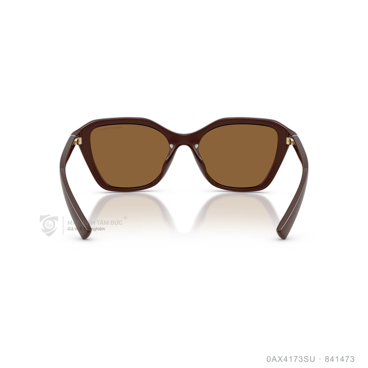Kính mát Armani Exchange 0AX4173SU - Ảnh 15