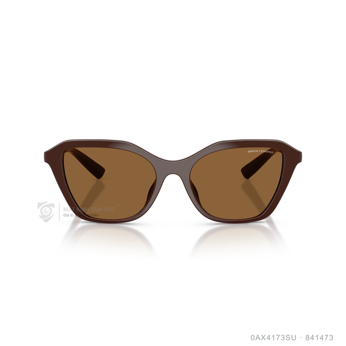 Kính mát Armani Exchange 0AX4173SU - Ảnh 11