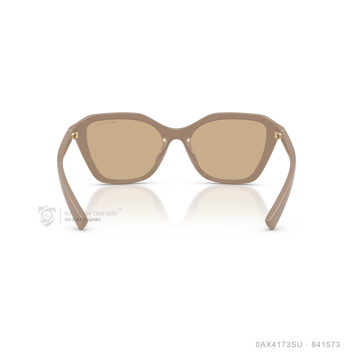 Kính mát Armani Exchange 0AX4173SU - Ảnh 20