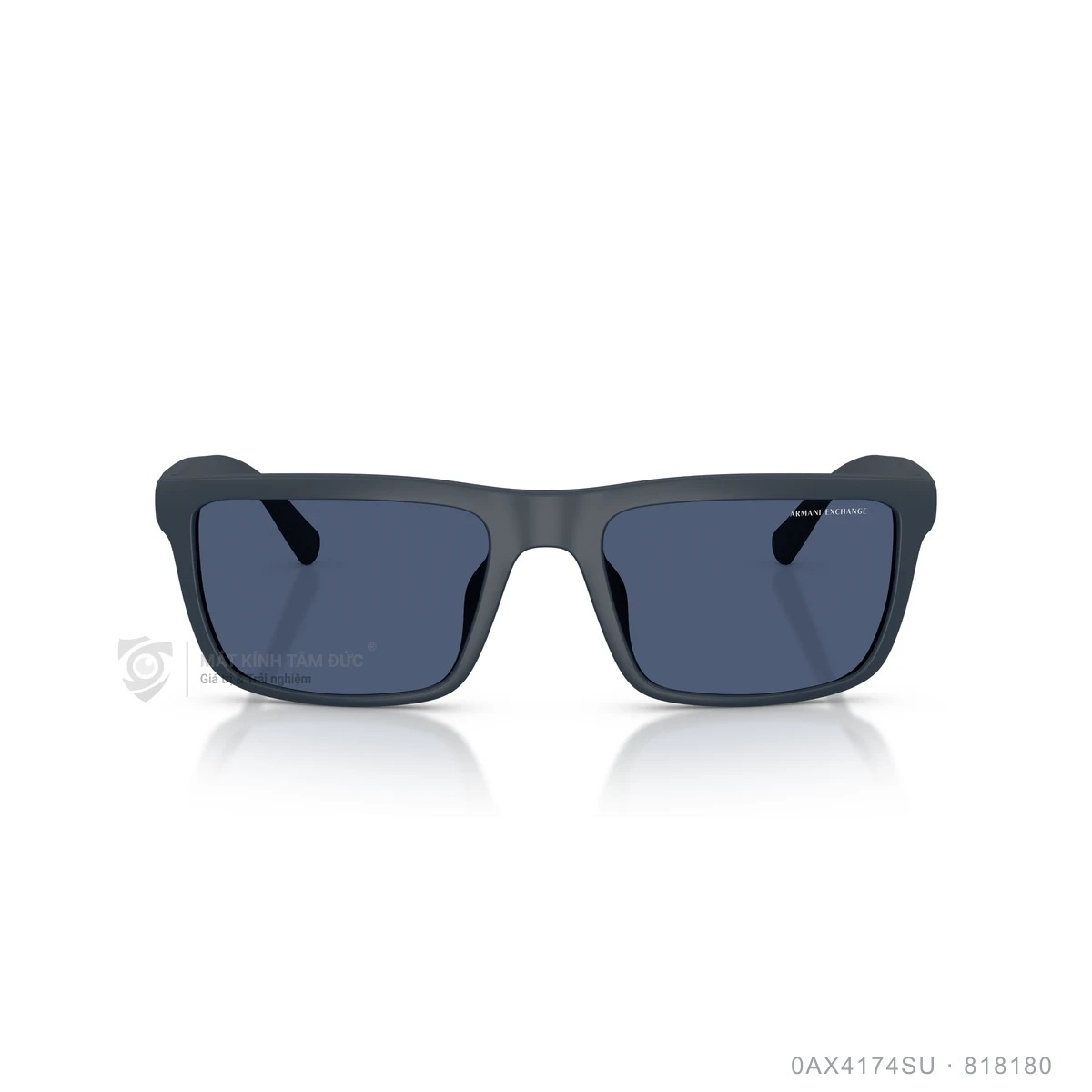 Kính mát Armani Exchange 0AX4174SU - Ảnh 11