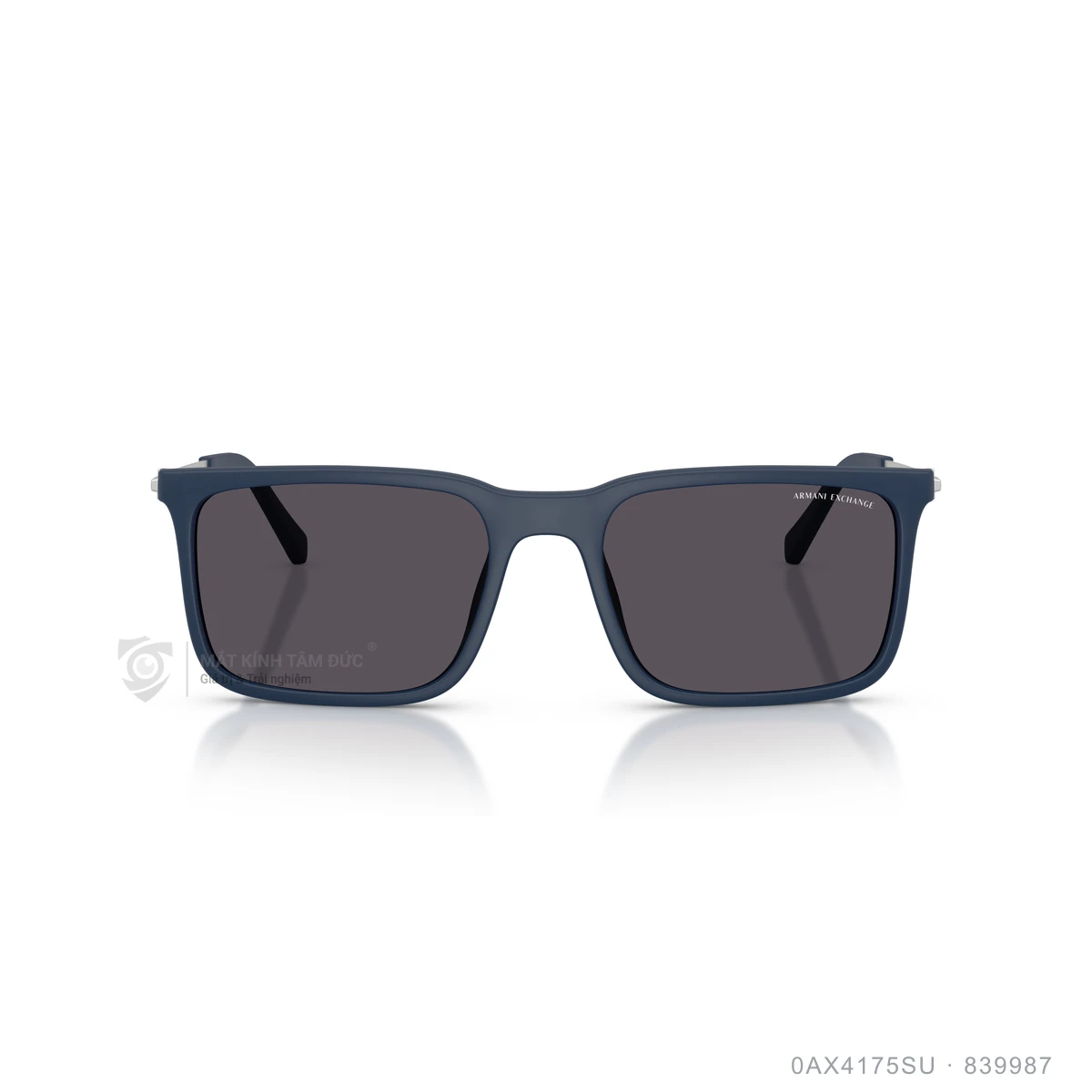 Kính mát Armani Exchange 0AX4175SU - Ảnh 6