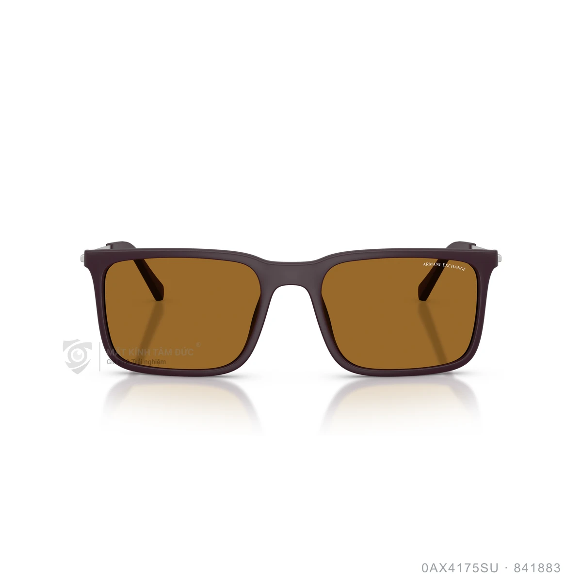 Kính mát Armani Exchange 0AX4175SU - Ảnh 16