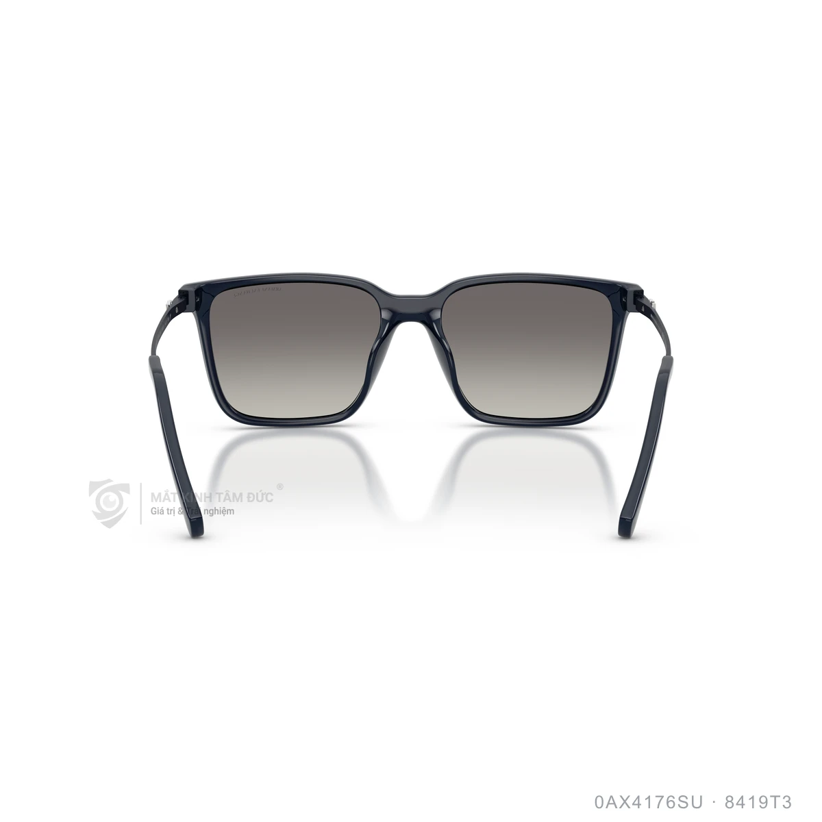 Kính mát Armani Exchange 0AX4176SU - Ảnh 10