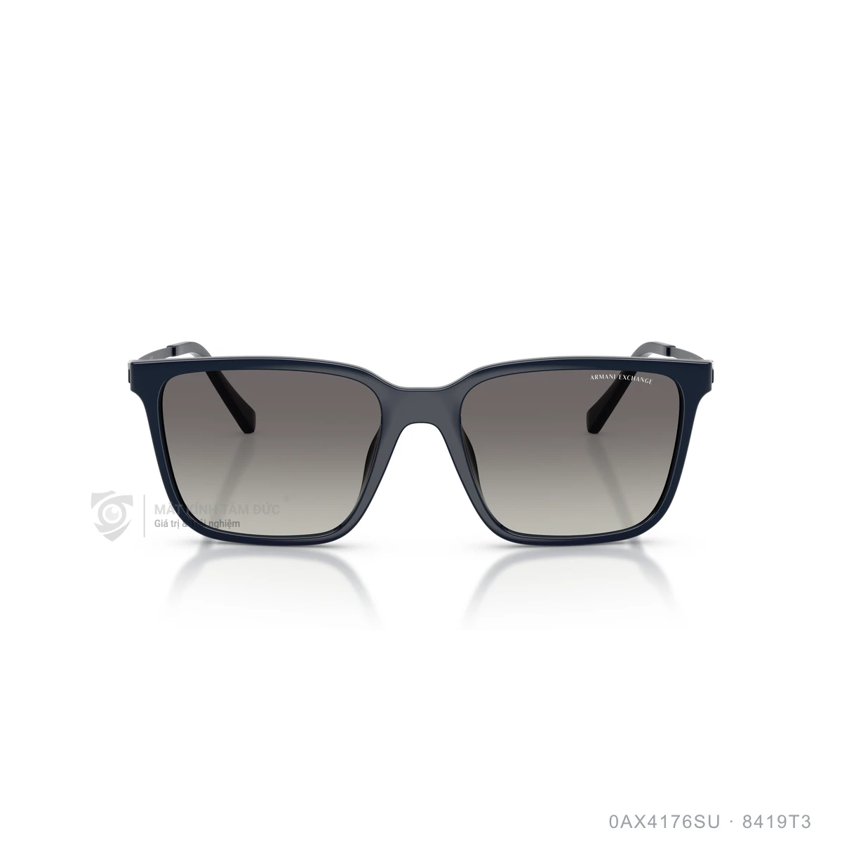 Kính mát Armani Exchange 0AX4176SU - Ảnh 6