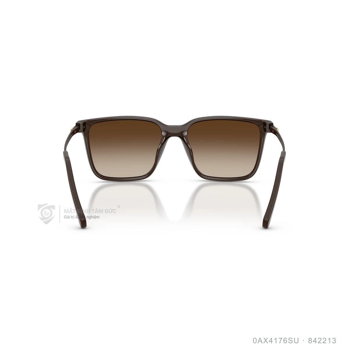 Kính mát Armani Exchange 0AX4176SU - Ảnh 20