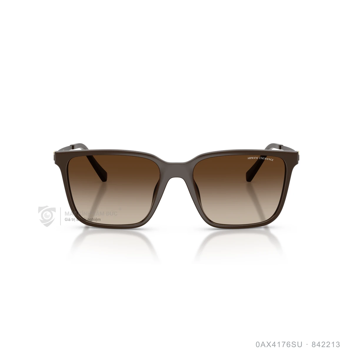 Kính mát Armani Exchange 0AX4176SU - Ảnh 16