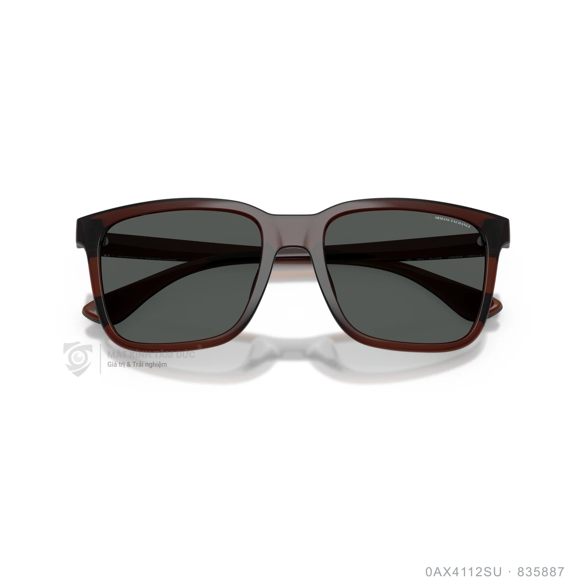 Kính mát Armani Exchange 0AX4112SU - Ảnh 3