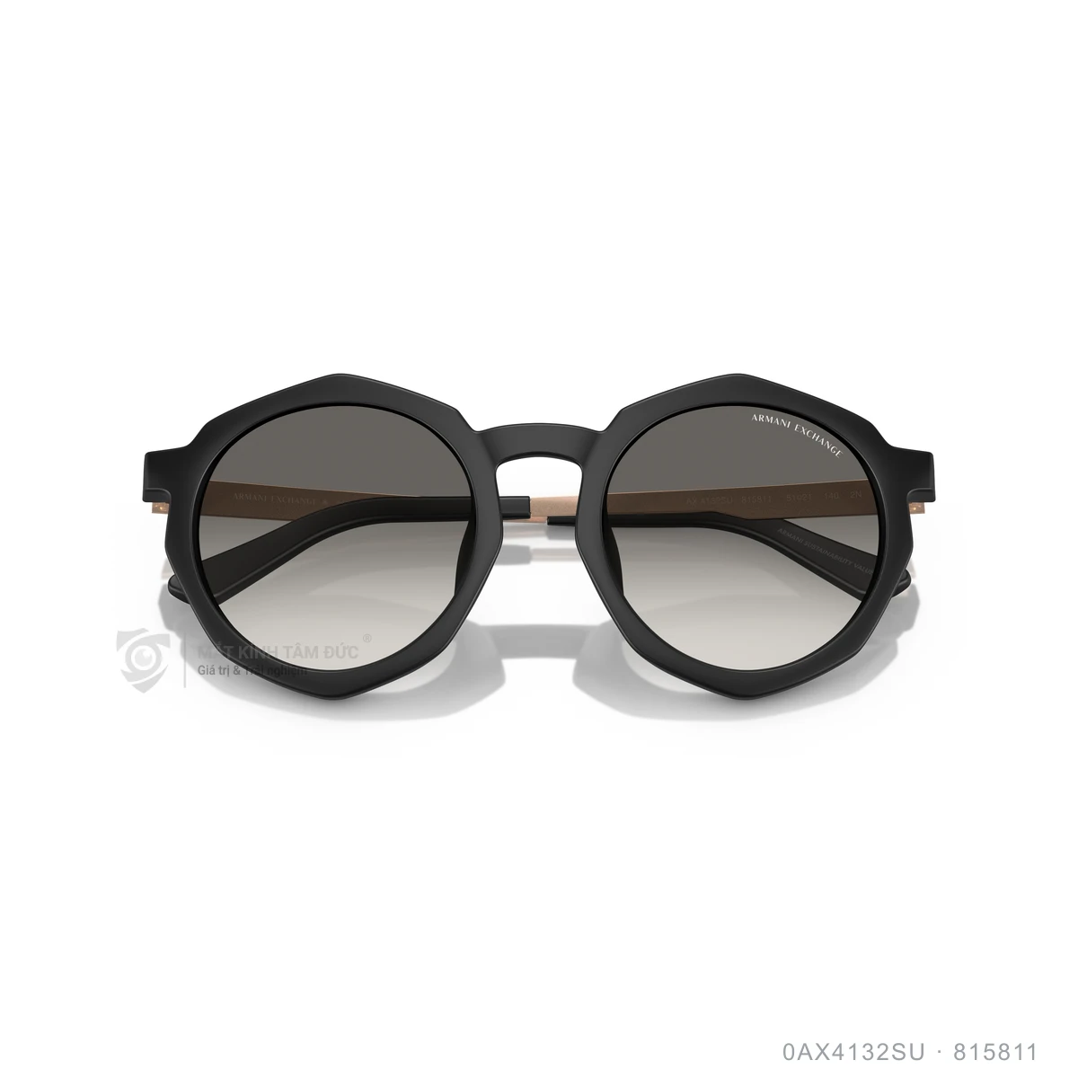Kính mát Armani Exchange 0AX4132SU - Ảnh 3