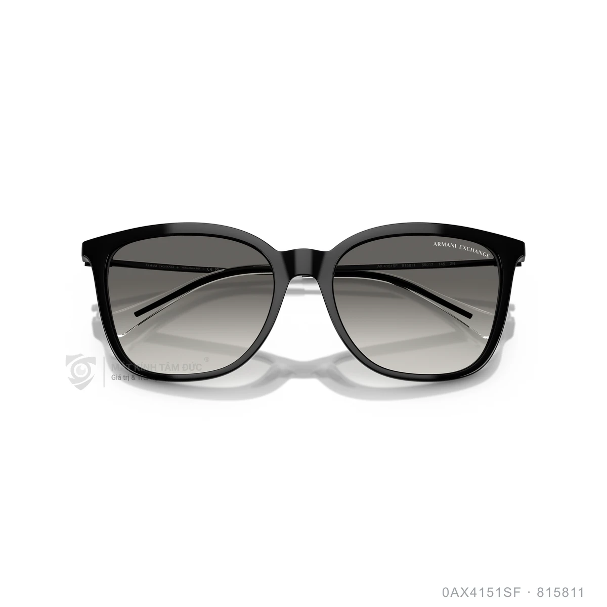 Kính mát Armani Exchange 0AX4151SF - Ảnh 3