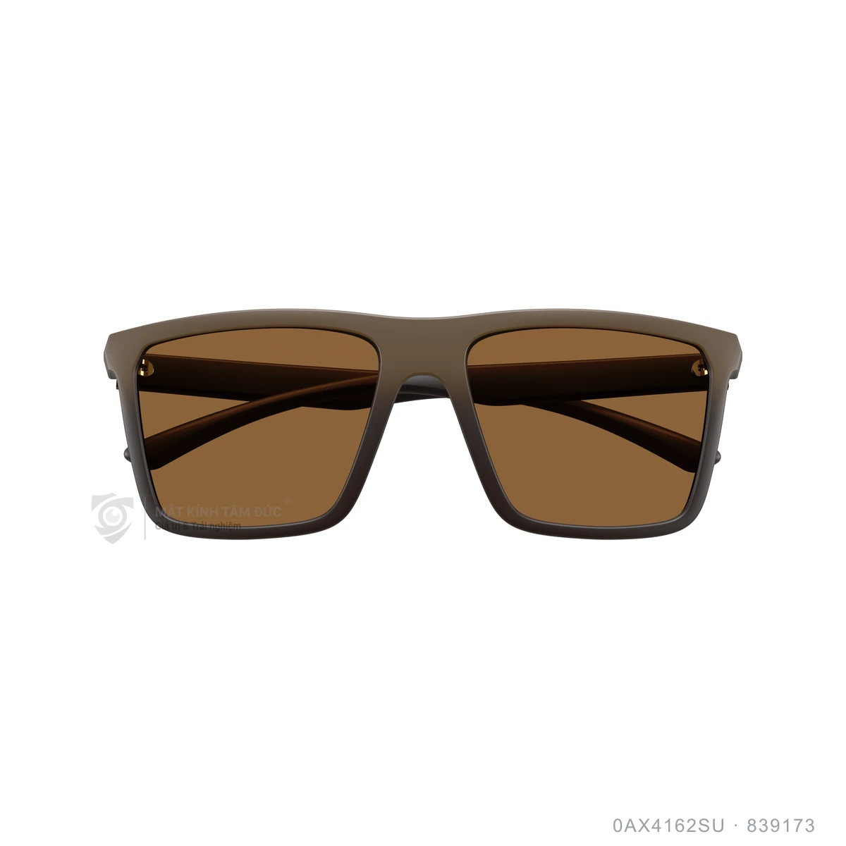 Kính mát Armani Exchange 0AX4162SU - Ảnh 8