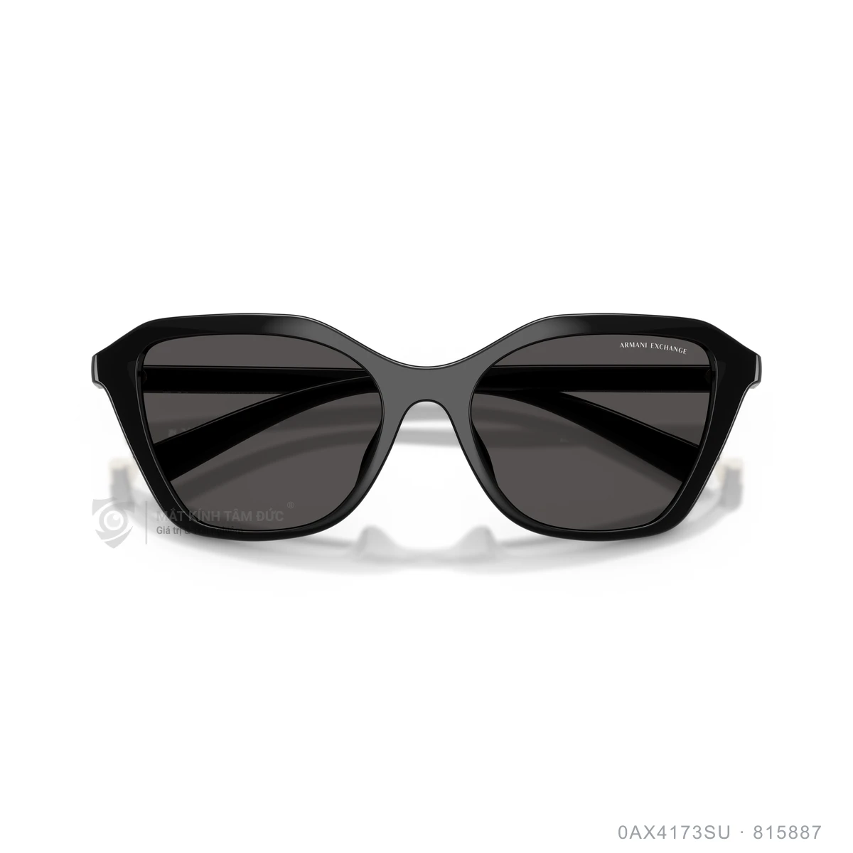 Kính mát Armani Exchange 0AX4173SU - Ảnh 3