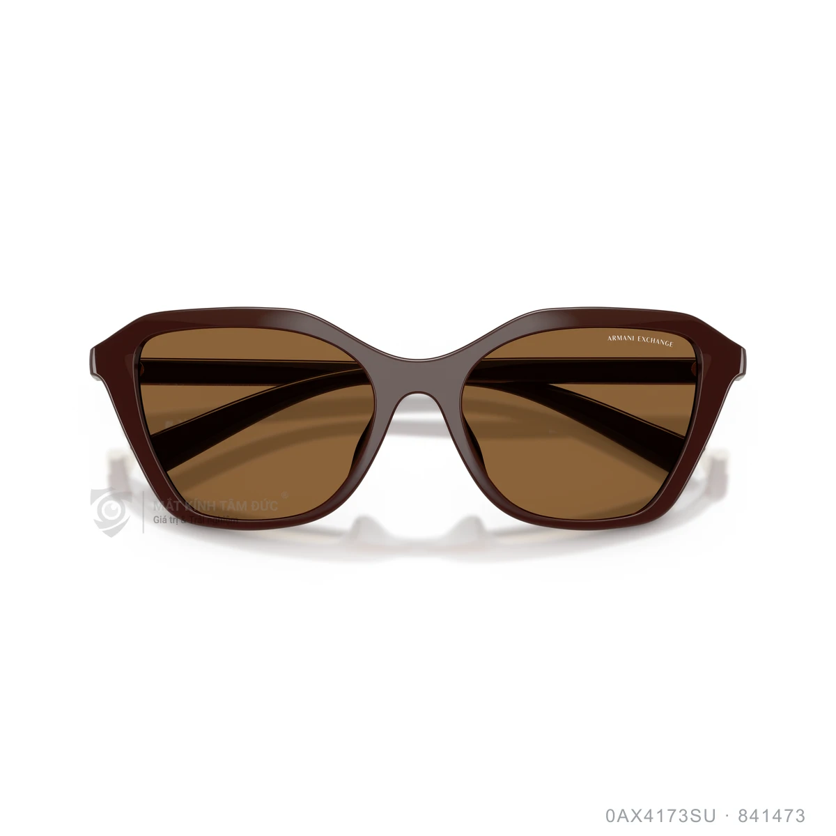 Kính mát Armani Exchange 0AX4173SU - Ảnh 13