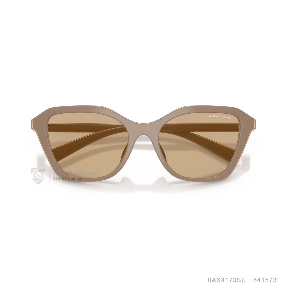 Kính mát Armani Exchange 0AX4173SU - Ảnh 18