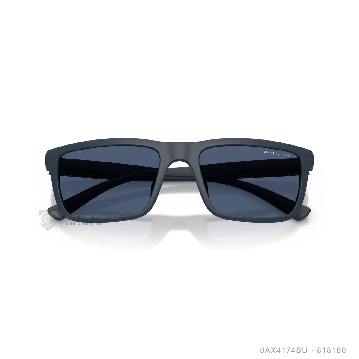Kính mát Armani Exchange 0AX4174SU - Ảnh 13