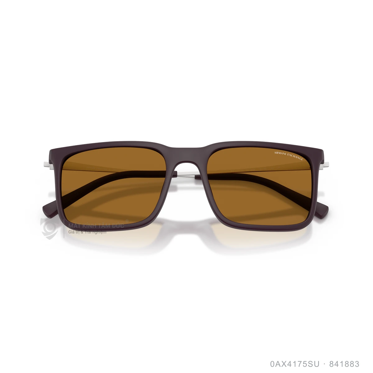 Kính mát Armani Exchange 0AX4175SU - Ảnh 18