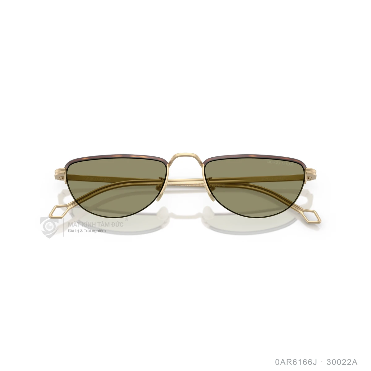 Kính mát Giorgio Armani 0AR6166J - Ảnh 3