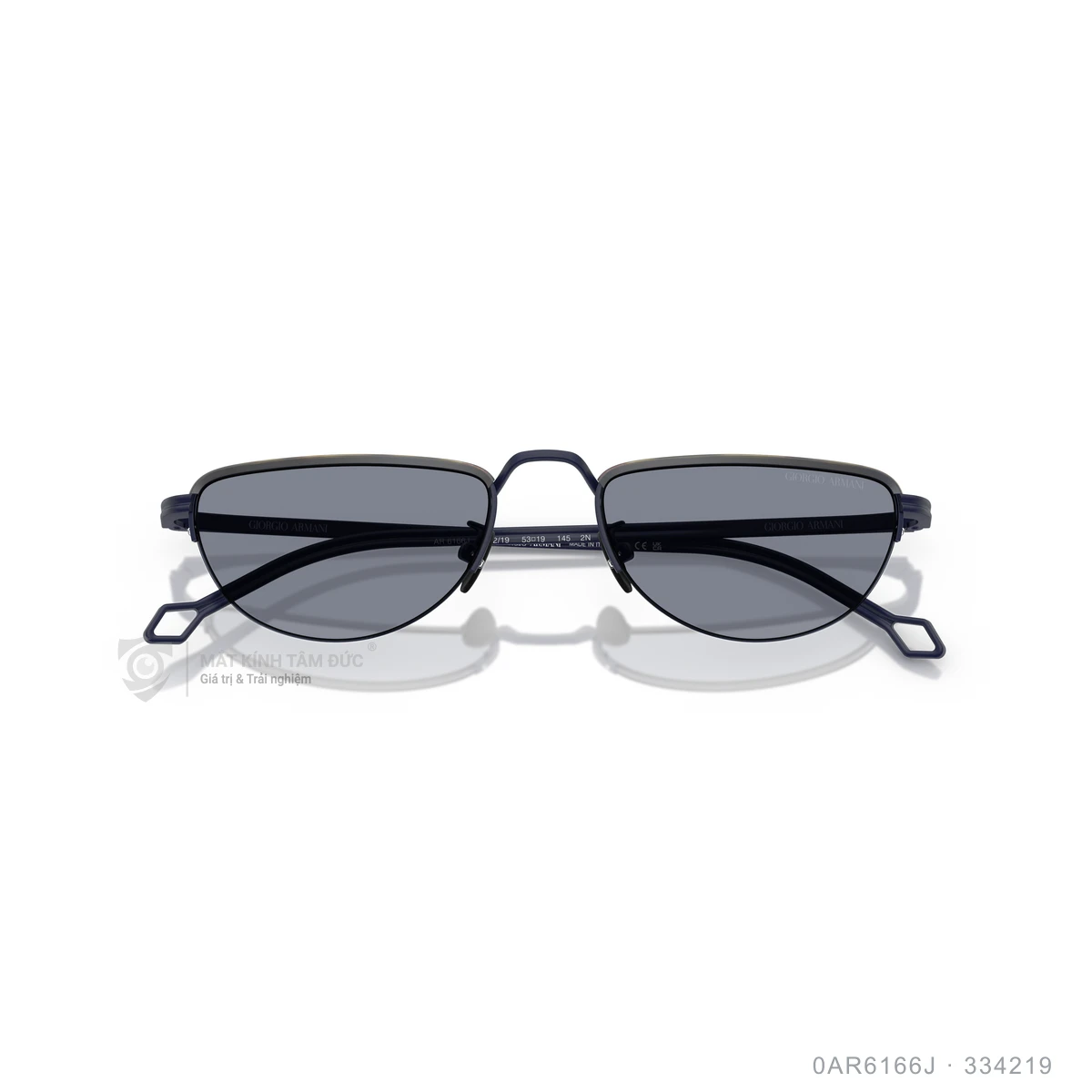Kính mát Giorgio Armani 0AR6166J - Ảnh 8