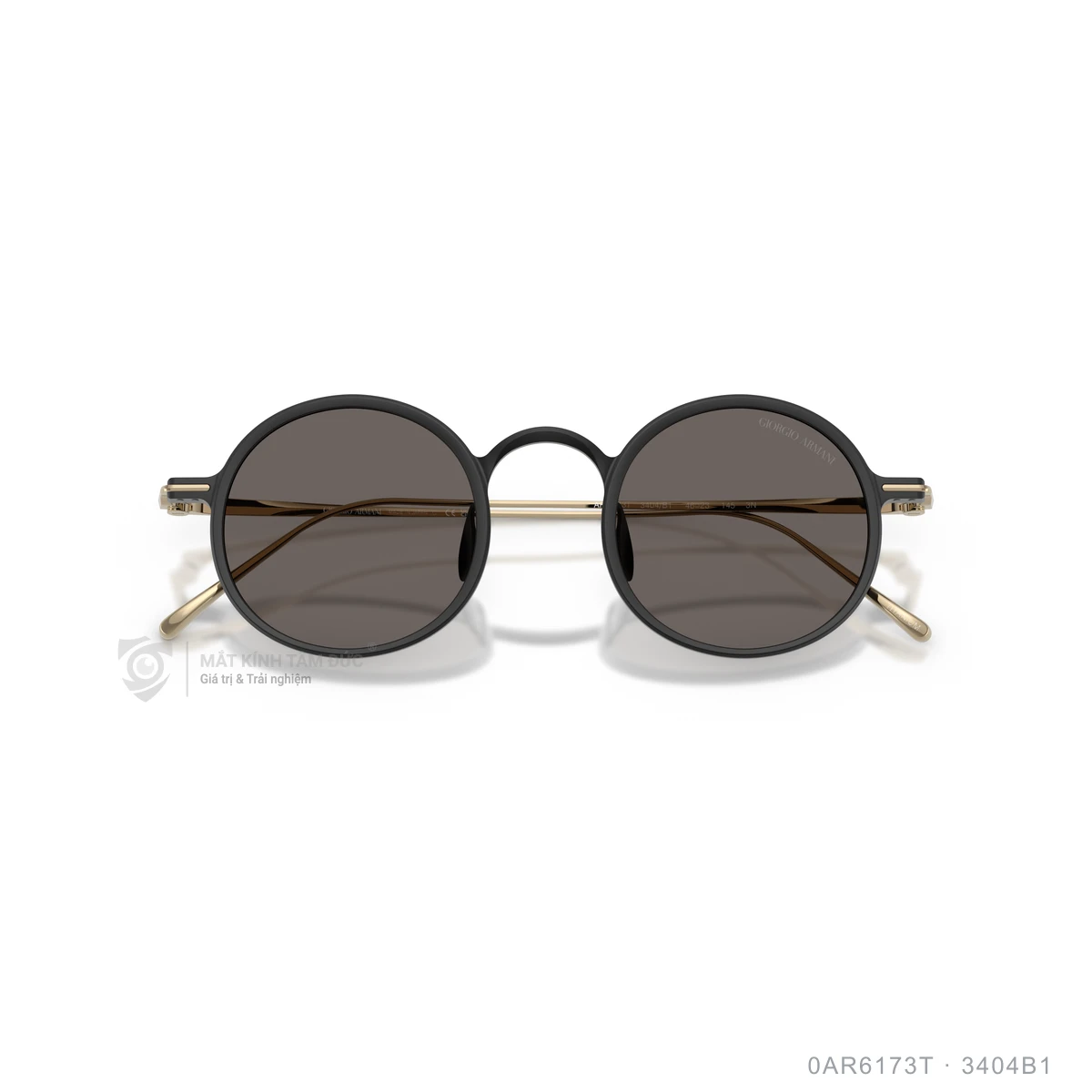Kính mát Giorgio Armani 0AR6173T - Ảnh 3
