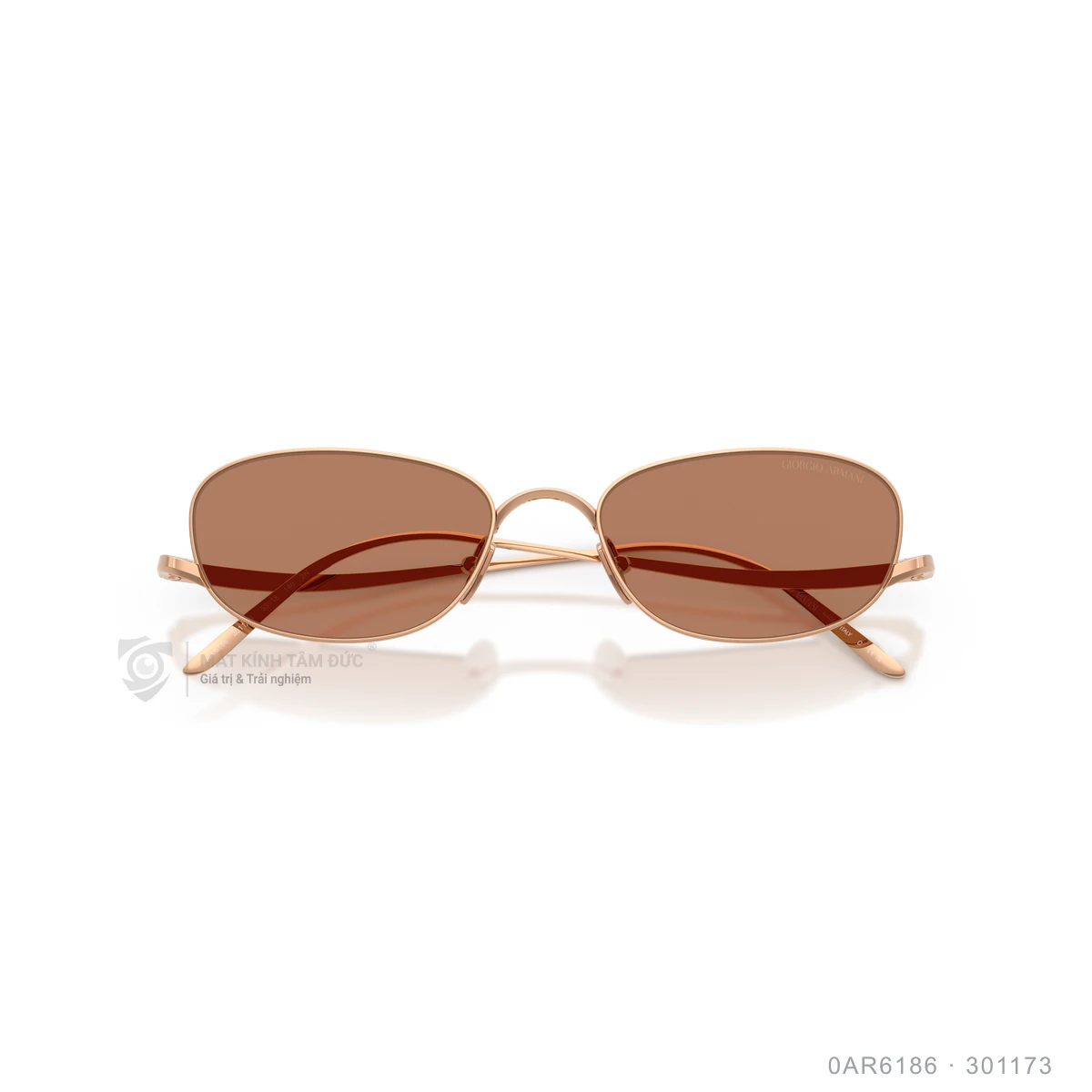 Kính mát Giorgio Armani 0AR6186 - Ảnh 3