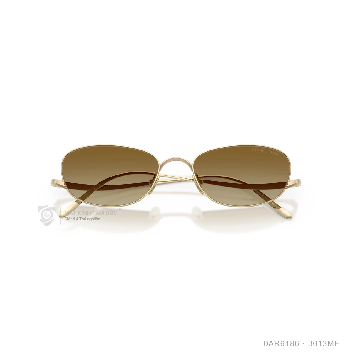 Kính mát Giorgio Armani 0AR6186 - Ảnh 13