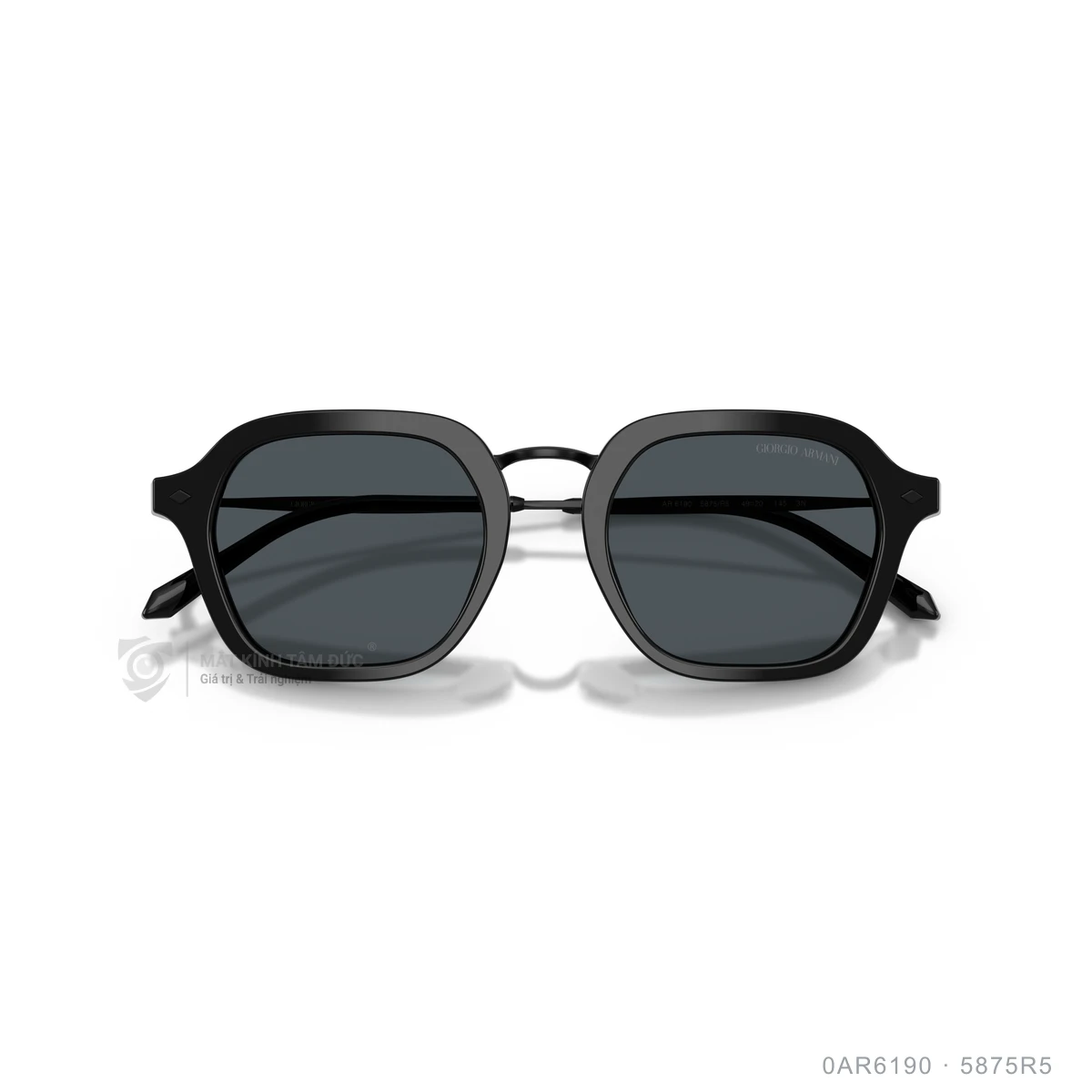 Kính mát Giorgio Armani 0AR6190 - Ảnh 3