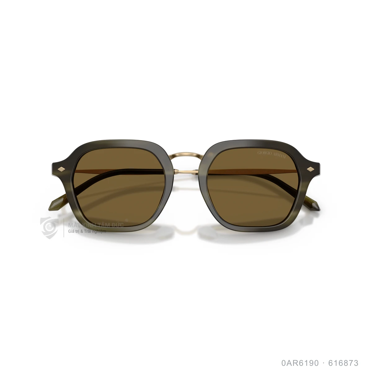 Kính mát Giorgio Armani 0AR6190 - Ảnh 8