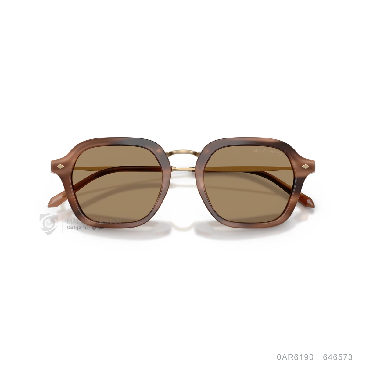 Kính mát Giorgio Armani 0AR6190 - Ảnh 18