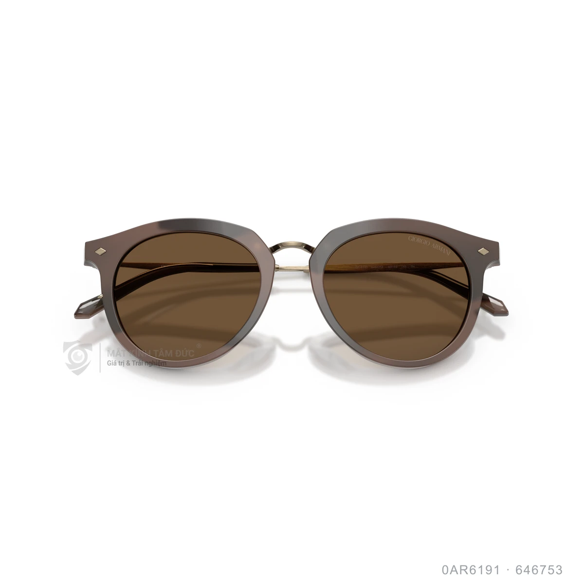 Kính mát Giorgio Armani 0AR6191 - Ảnh 3