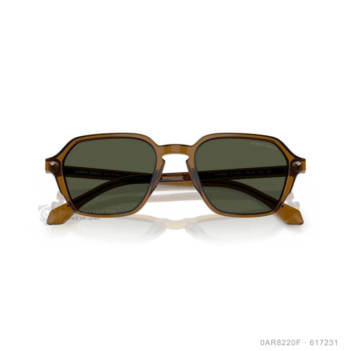 Kính mát Giorgio Armani 0AR8220F - Ảnh 13